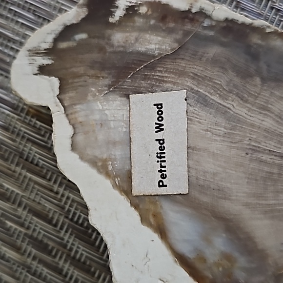 DUSKY PETRIFIED WOOD Slice, Stone Plate, Petrified Wood - Picture 7 of 9